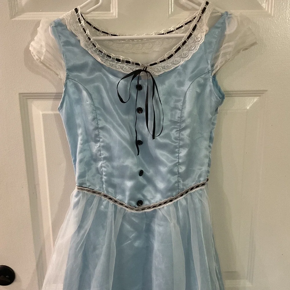 Alice in Wonderland Costume Dress Kids Large Blue Satin Lace Heart Rose 00659V